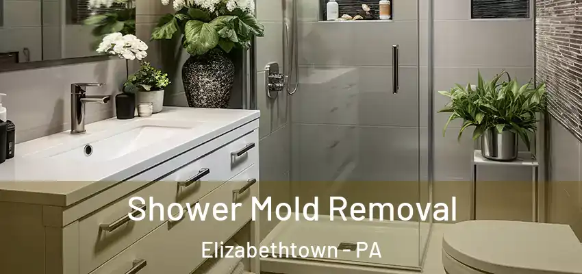 Shower Mold Removal Elizabethtown - PA