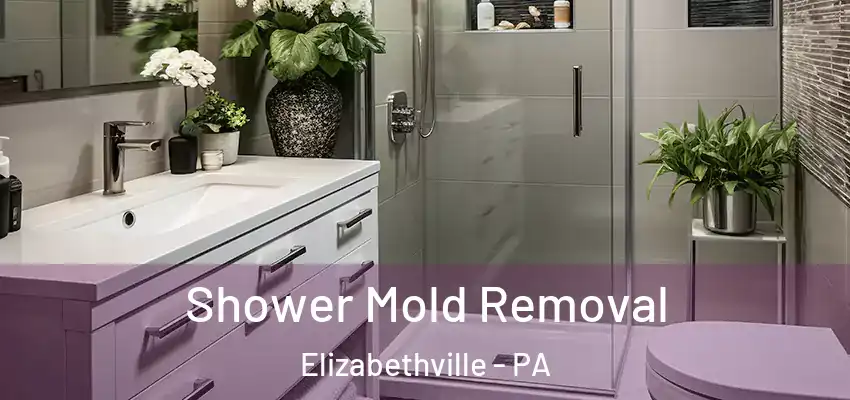  Shower Mold Removal Elizabethville - PA