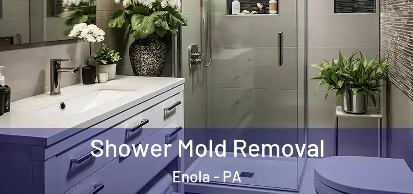  Shower Mold Removal Enola - PA