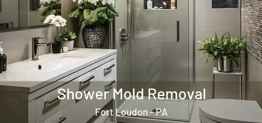  Shower Mold Removal Fort Loudon - PA