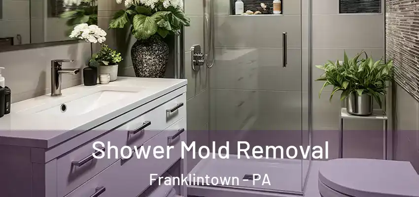 Shower Mold Removal Franklintown - PA