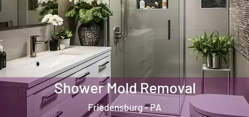 Shower Mold Removal Friedensburg - PA