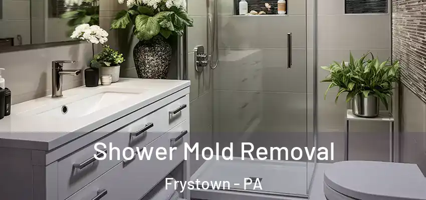 Shower Mold Removal Frystown - PA