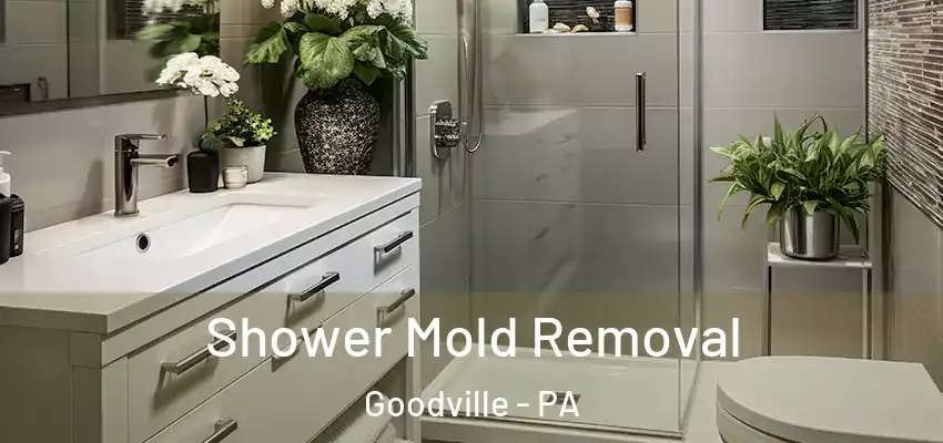 Shower Mold Removal Goodville - PA