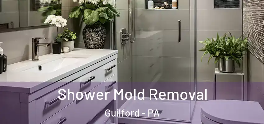 Shower Mold Removal Guilford - PA