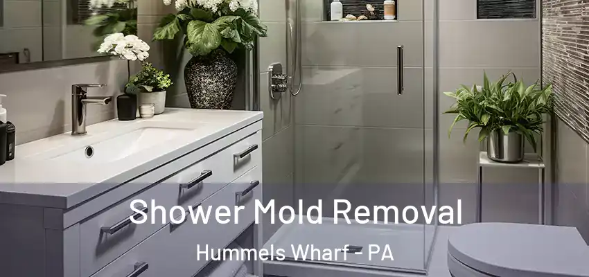  Shower Mold Removal Hummels Wharf - PA