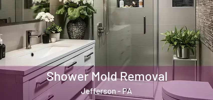 Shower Mold Removal Jefferson - PA