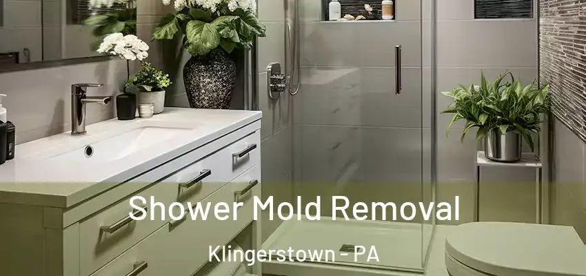  Shower Mold Removal Klingerstown - PA
