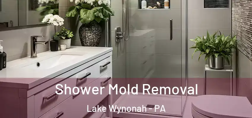 Shower Mold Removal Lake Wynonah - PA
