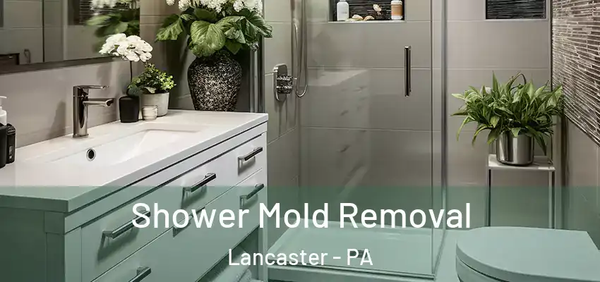  Shower Mold Removal Lancaster - PA