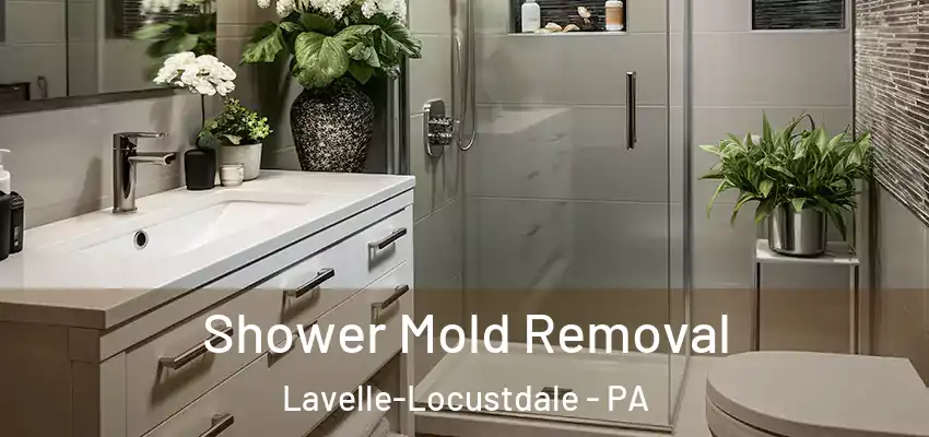 Shower Mold Removal Lavelle-Locustdale - PA