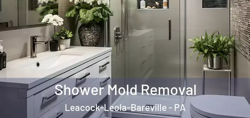  Shower Mold Removal Leacock-Leola-Bareville - PA