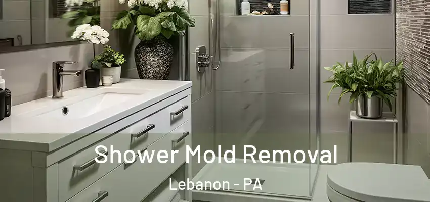 Shower Mold Removal Lebanon - PA