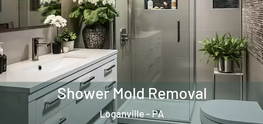  Shower Mold Removal Loganville - PA