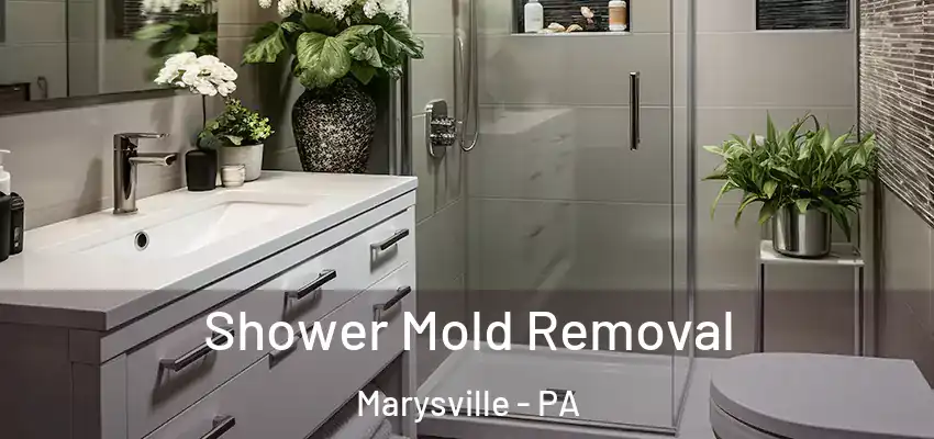 Shower Mold Removal Marysville - PA