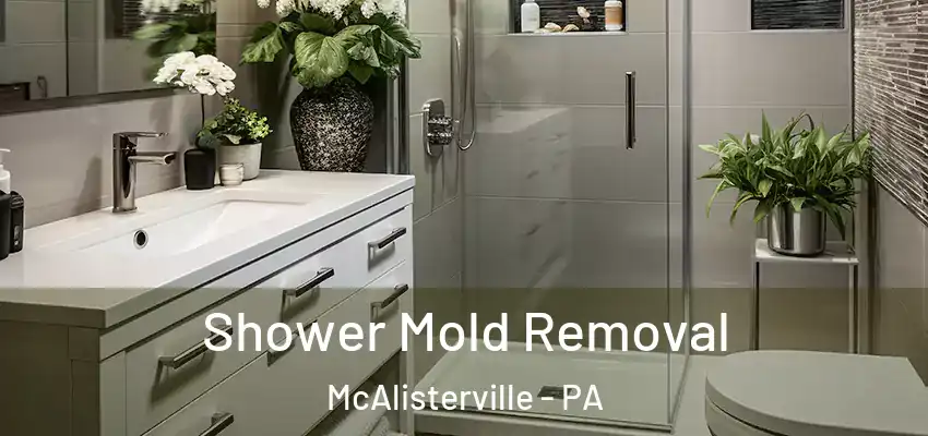 Shower Mold Removal McAlisterville - PA