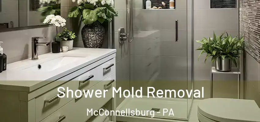  Shower Mold Removal McConnellsburg - PA