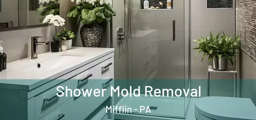  Shower Mold Removal Mifflin - PA