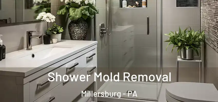  Shower Mold Removal Millersburg - PA