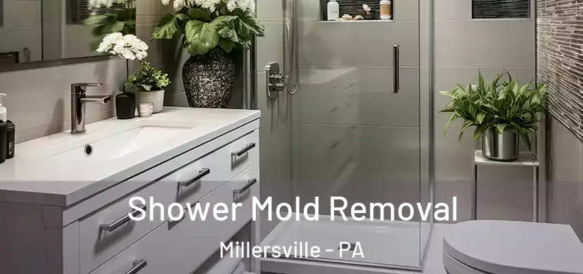 Shower Mold Removal Millersville - PA