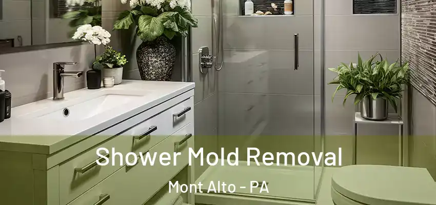 Shower Mold Removal Mont Alto - PA