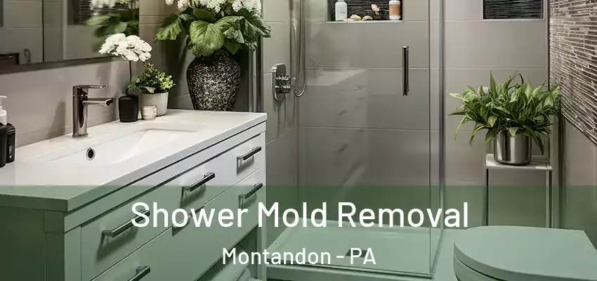 Shower Mold Removal Montandon - PA