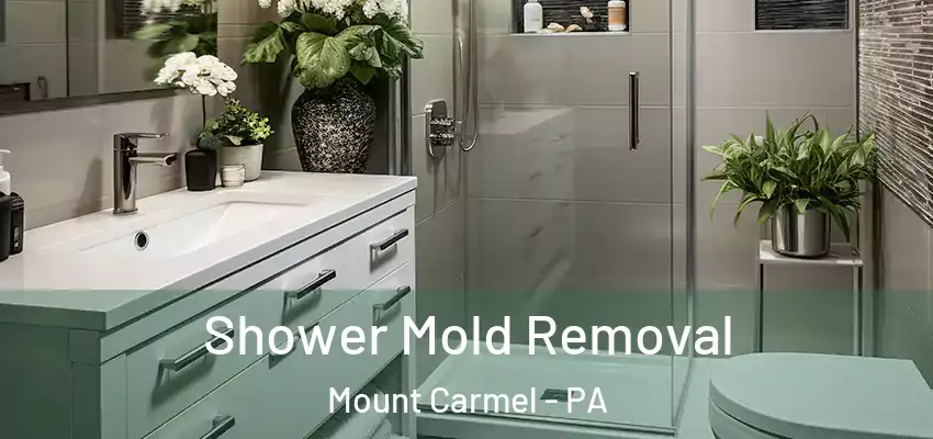 Shower Mold Removal Mount Carmel - PA