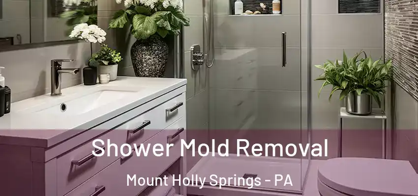  Shower Mold Removal Mount Holly Springs - PA