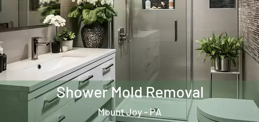  Shower Mold Removal Mount Joy - PA