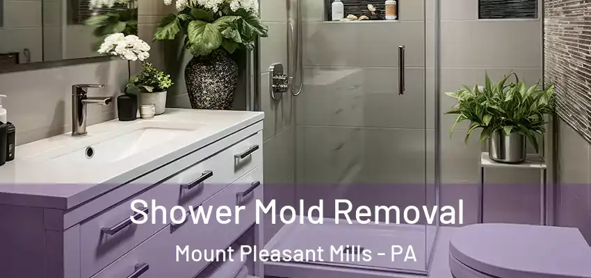 Shower Mold Removal Mount Pleasant Mills - PA