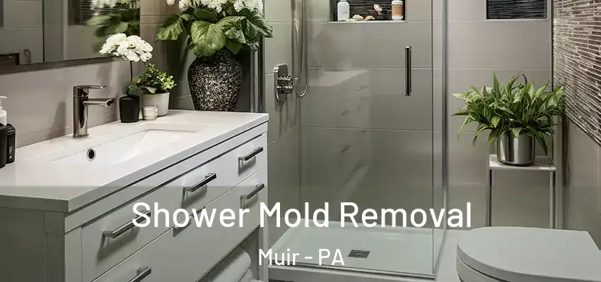  Shower Mold Removal Muir - PA