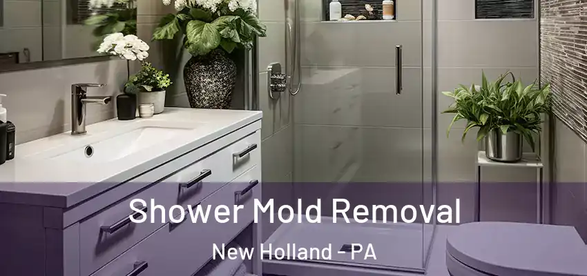 Shower Mold Removal New Holland - PA