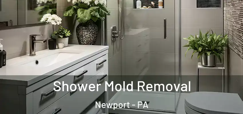  Shower Mold Removal Newport - PA