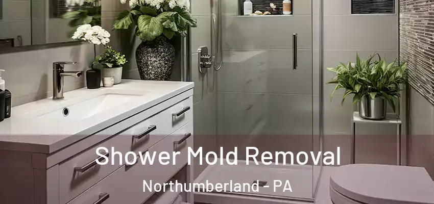  Shower Mold Removal Northumberland - PA