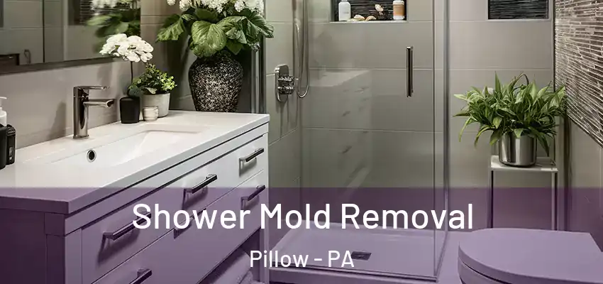 Shower Mold Removal Pillow - PA