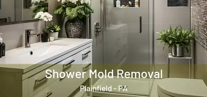  Shower Mold Removal Plainfield - PA