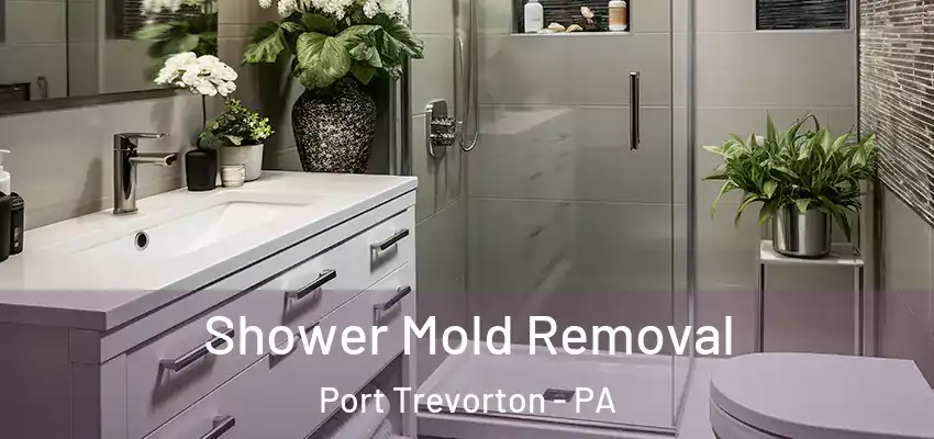  Shower Mold Removal Port Trevorton - PA