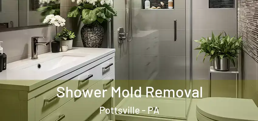 Shower Mold Removal Pottsville - PA