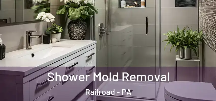  Shower Mold Removal Railroad - PA