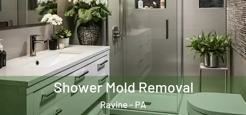 Shower Mold Removal Ravine - PA