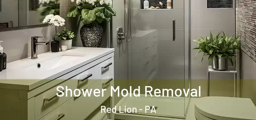  Shower Mold Removal Red Lion - PA