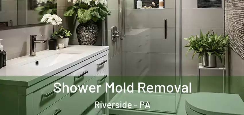 Shower Mold Removal Riverside - PA