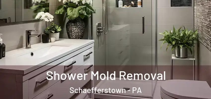  Shower Mold Removal Schaefferstown - PA