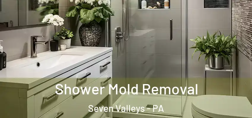 Shower Mold Removal Seven Valleys - PA