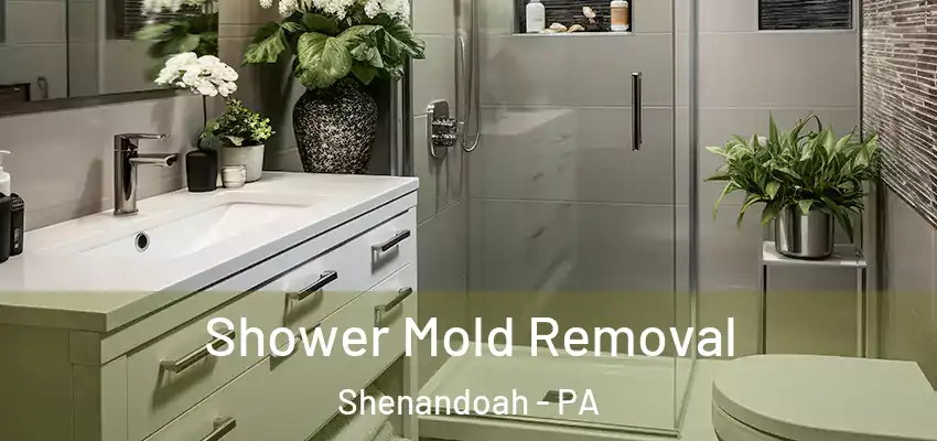 Shower Mold Removal Shenandoah - PA