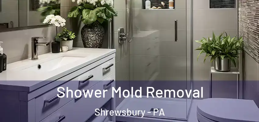  Shower Mold Removal Shrewsbury - PA