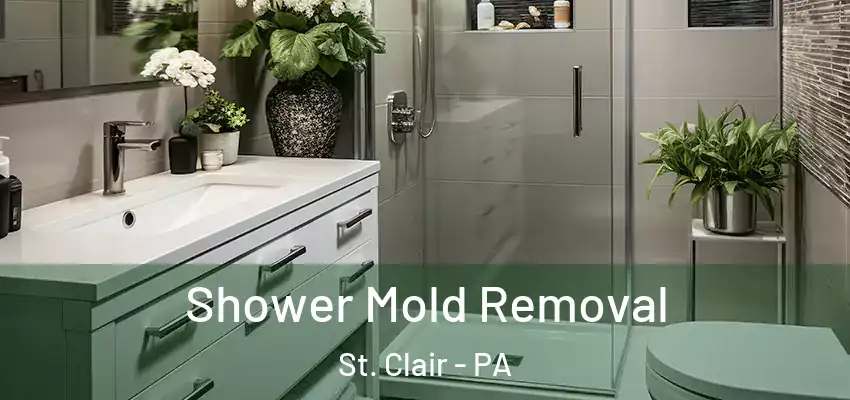 Shower Mold Removal St. Clair - PA