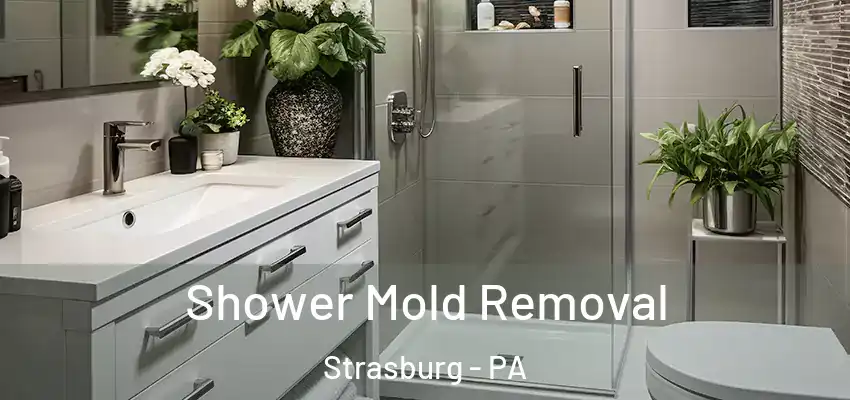  Shower Mold Removal Strasburg - PA