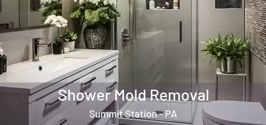 Shower Mold Removal Summit Station - PA