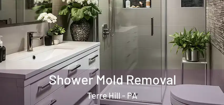  Shower Mold Removal Terre Hill - PA
